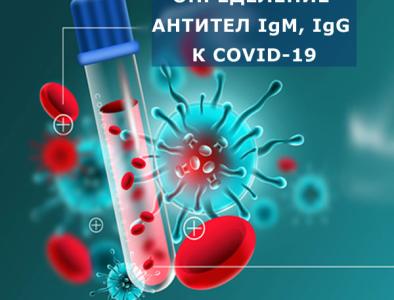 Тестирование на антитела к Covid-19